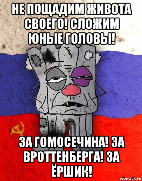 не пощадим живота своего! сложим юные головы! за гомосечина! за вроттенберга! за ёршик!, Мем Ватник