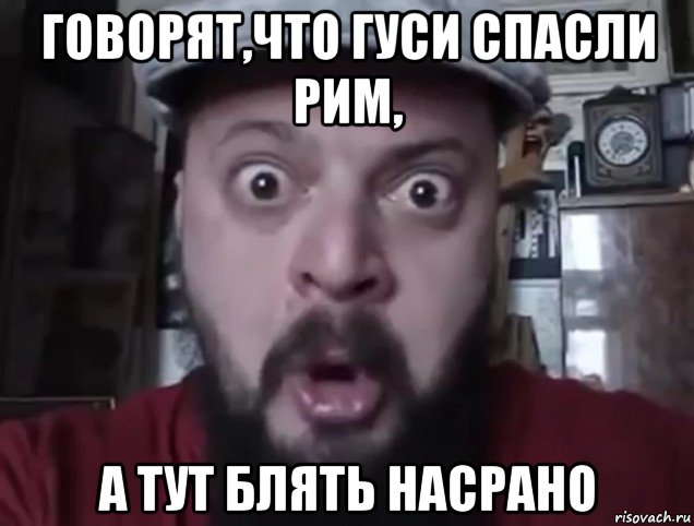 говорят,что гуси спасли рим, а тут блять насрано, Мем Виктор Пузо