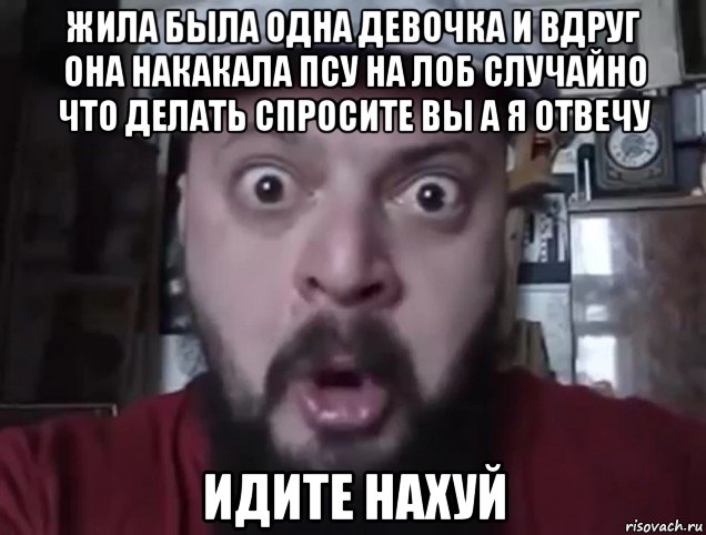 жила была одна девочка и вдруг она накакала псу на лоб случайно что делать спросите вы а я отвечу идите нахуй, Мем Виктор Пузо