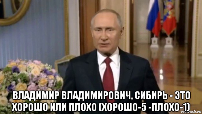  владимир владимирович, сибирь - это хорошо или плохо (хорошо-5 -плохо-1), Мем Владимир Путин