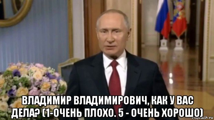  владимир владимирович, как у вас дела? (1-очень плохо. 5 - очень хорошо), Мем Владимир Путин