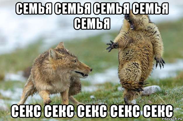 семья семья семья семья семья секс секс секс секс секс, Мем Волк и суслик