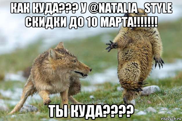 как куда??? у @natalia_style скидки до 10 марта!!!!!!! ты куда????, Мем Волк и суслик