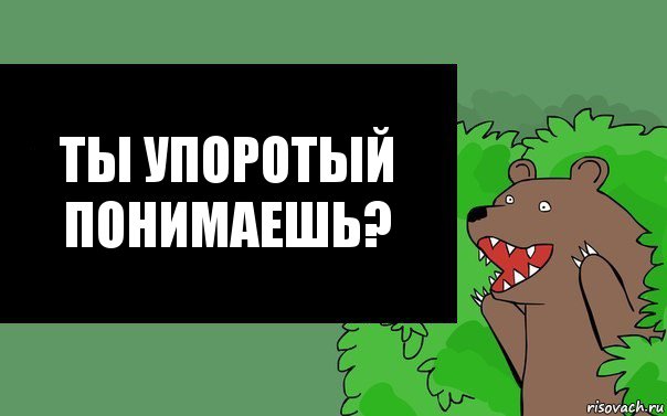 Ты упоротый понимаешь?