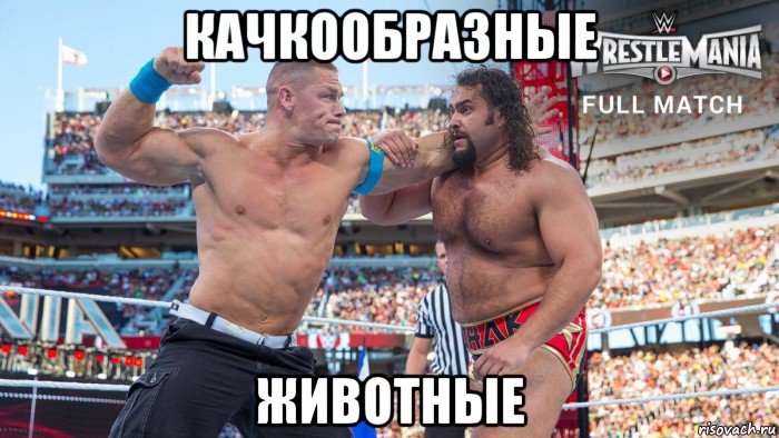 качкообразные животные, Мем Wrestlemania Rusev vs John Cena