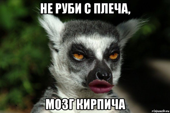 не руби с плеча, мозг кирпича