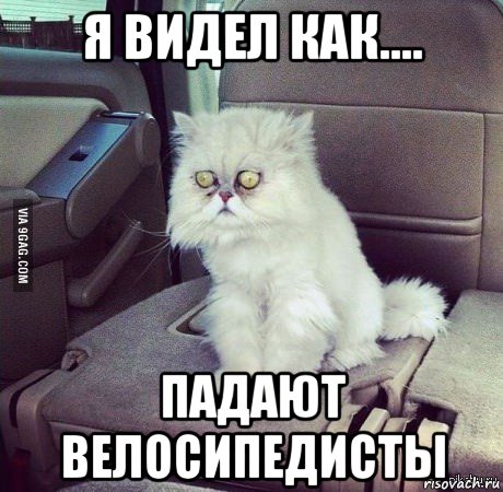 я видел как.... падают велосипедисты, Мем Я видел некоторое дерьмо