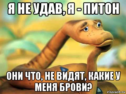 я не удав, я - питон они что, не видят, какие у меня брови?, Мем  задумчивый удав