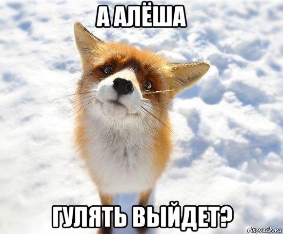 а алёша гулять выйдет?