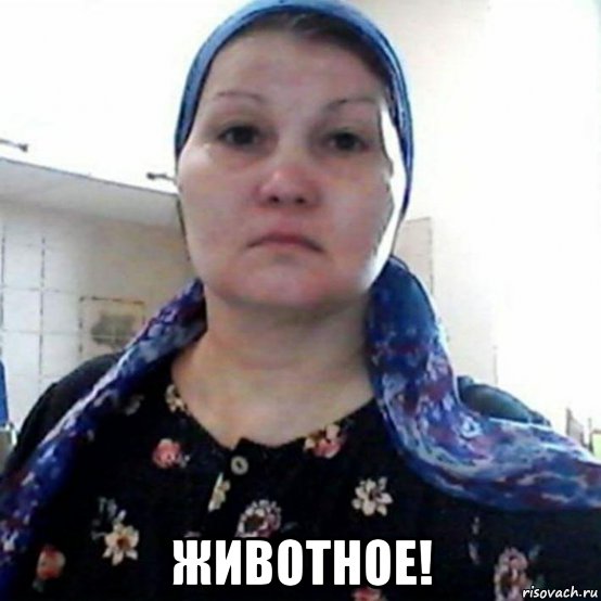  животное!, Мем Земфира Гайнуллина