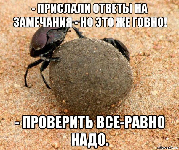 - прислали ответы на замечания - но это же говно! - проверить все-равно надо.