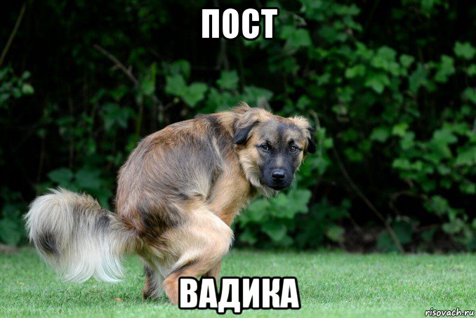 пост вадика, Мем 6