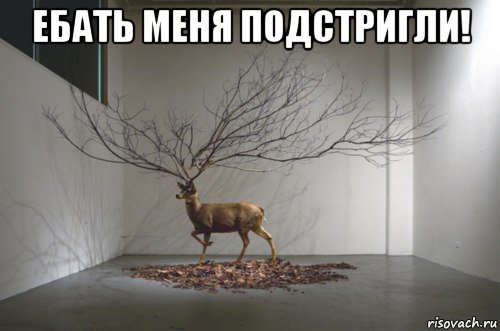 ебать меня подстригли! , Мем 9999