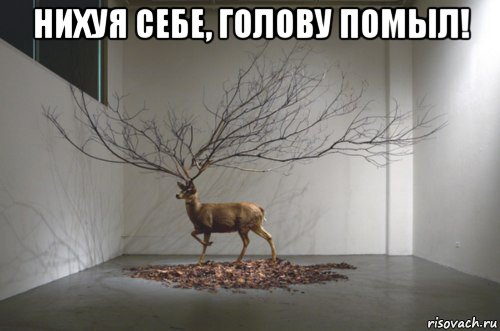нихуя себе, голову помыл! , Мем 9999