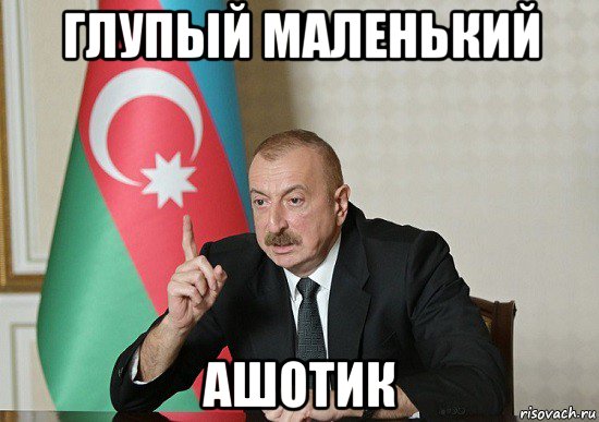 глупый маленький ашотик, Мем Алиев