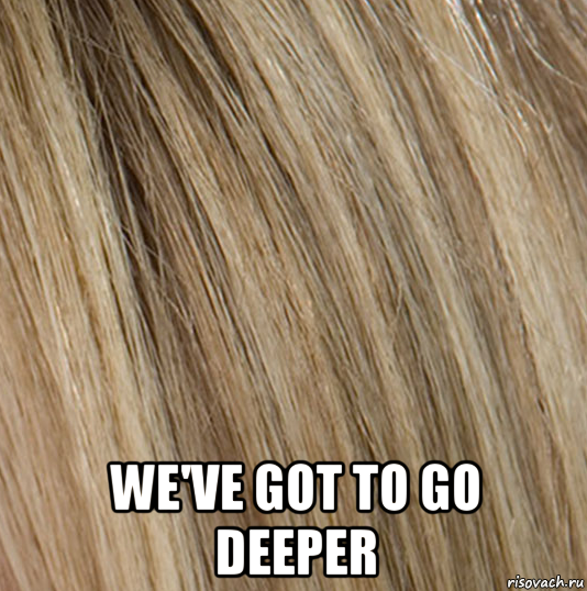  we've got to go deeper, Мем Avril Lavigne