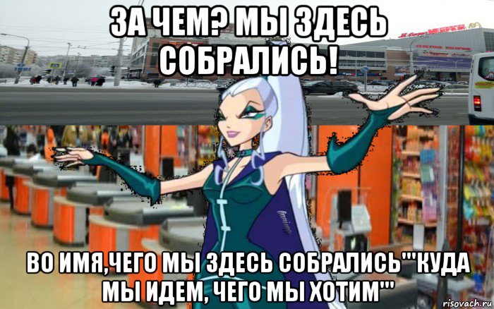за чем? мы здесь собрались! во имя,чего мы здесь собрались'''куда мы идем, чего мы хотим''', Мем Айси в моле