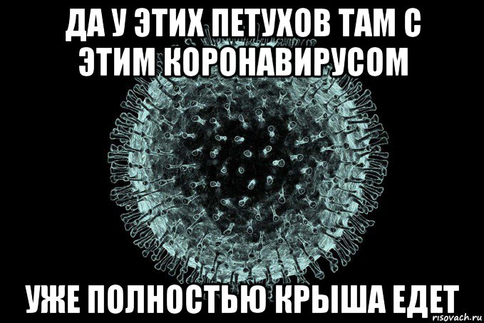 да у этих петухов там с этим коронавирусом уже полностью крыша едет, Мем Coronaviridae