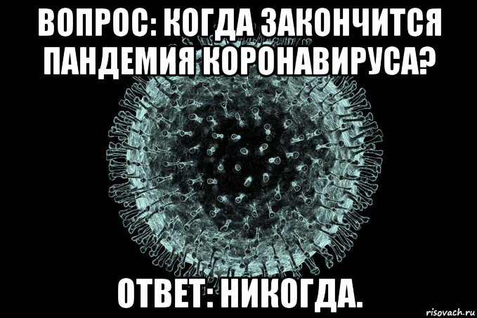 вопрос: когда закончится пандемия коронавируса? ответ: никогда.