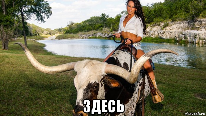  здесь, Мем Cowgirl