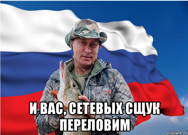  и вас, сетевых сщук переловим, Мем Щука путина