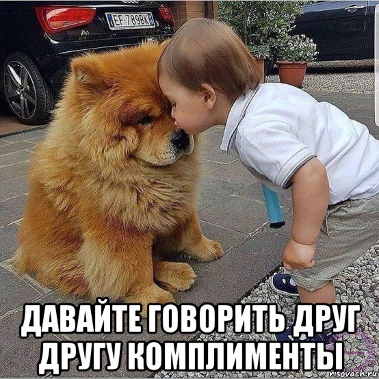  давайте говорить друг другу комплименты, Мем Давайте делать друг другу маленькие добрости