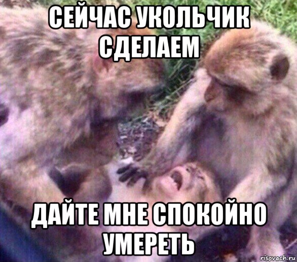 сейчас укольчик сделаем дайте мне спокойно умереть