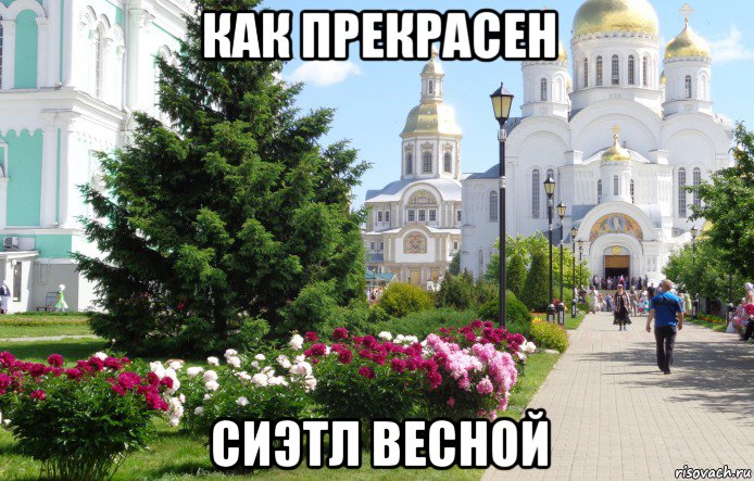 как прекрасен сиэтл весной, Мем Дивное Дивеево