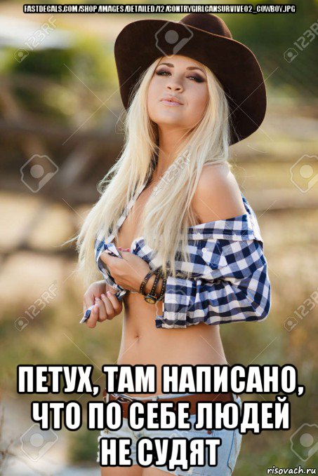 fastdecals.com/shop/images/detailed/12/contrygirlcansurvive02_cowboy.jpg петух, там написано, что по себе людей не судят, Мем Dixieland Texas