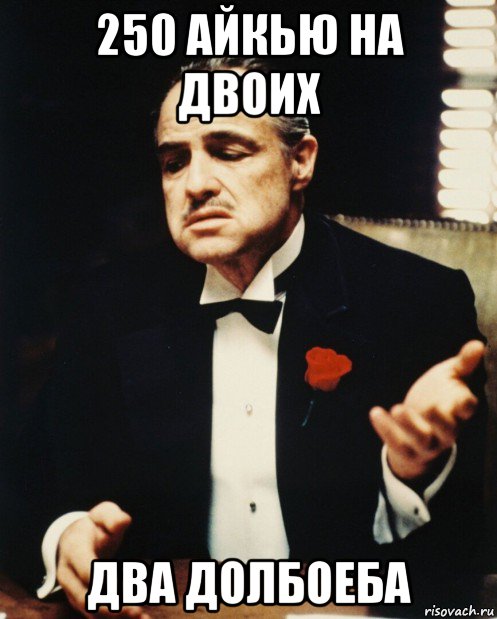 250 айкью на двоих два долбоеба, Мем Дон корлеоне