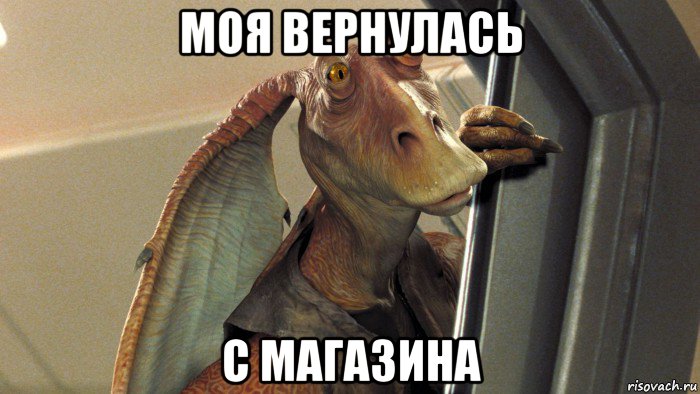 моя вернулась с магазина