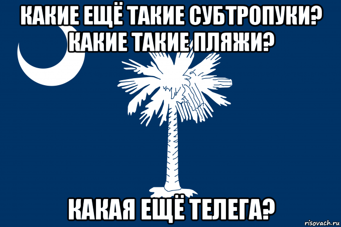 какие ещё такие субтропуки? какие такие пляжи? какая ещё телега?, Мем Флаг Южной Каролины