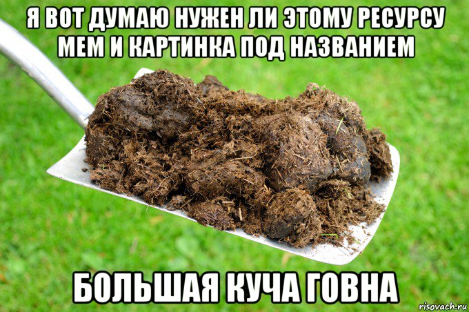 я вот думаю нужен ли этому ресурсу мем и картинка под названием большая куча говна, Мем Говно на лопате