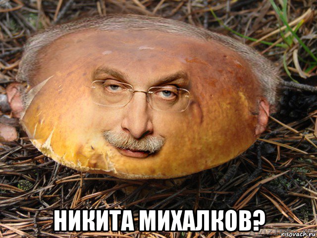 никита михалков?, Мем Гриб Друзь