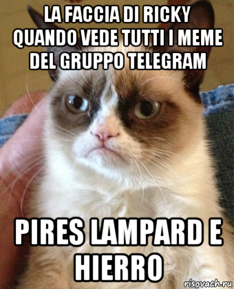 la faccia di ricky quando vede tutti i meme del gruppo telegram pires lampard e hierro, Мем Grumpy Cat small