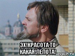  эх!красота то какая!лепота!, Мем ИВАН ВАСИЛЬЕВИЧ