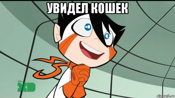 увидел кошек , Мем Kawaii chiro again