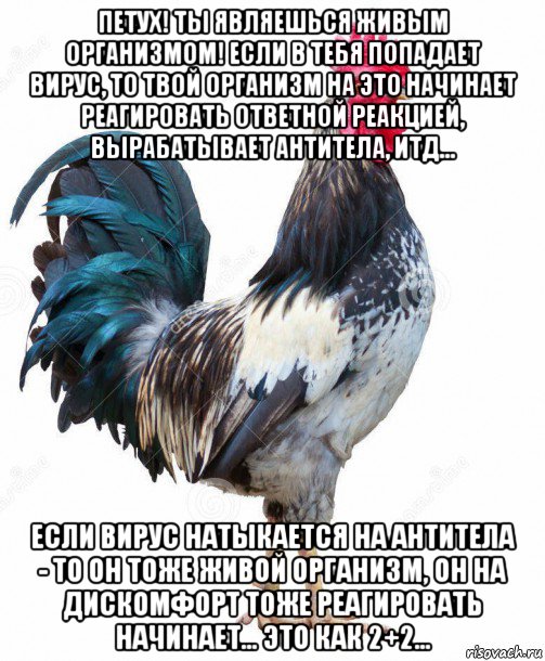 петух! ты являешься живым организмом! если в тебя попадает вирус, то твой организм на это начинает реагировать ответной реакцией, вырабатывает антитела, итд... если вирус натыкается на антитела - то он тоже живой организм, он на дискомфорт тоже реагировать начинает... это как 2+2...