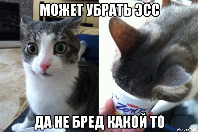 может убрать эсс да не бред какой то