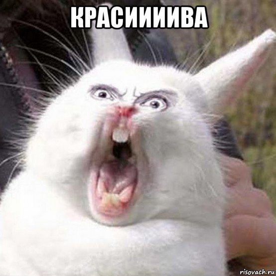 красиииива 