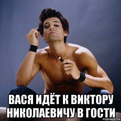  вася идёт к виктору николаевичу в гости