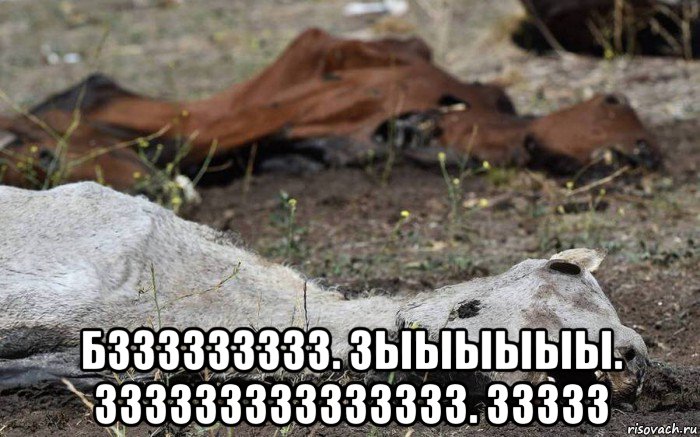  бззззззззз. зыыыыыы. ззззззззззззззз. ззззз, Мем Лошадь