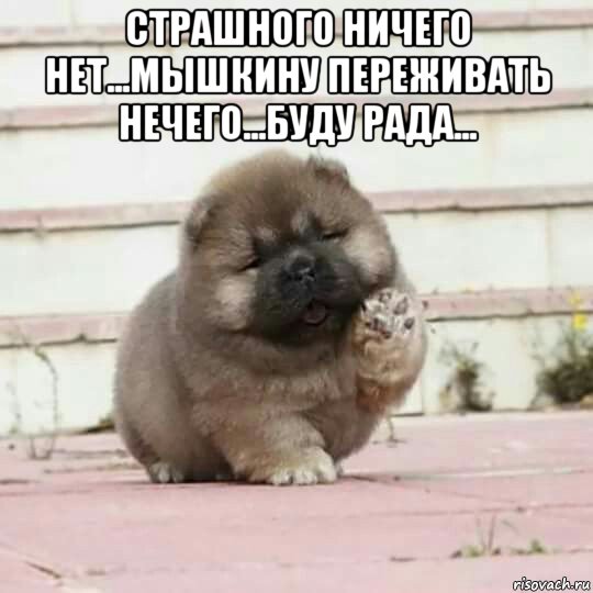 страшного ничего нет...мышкину переживать нечего...буду рада... , Мем Meets You When You Come