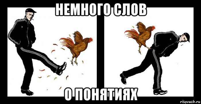 немного слов о понятиях, Мем Немного слов - о Петухах