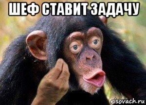 шеф ставит задачу 