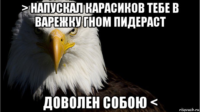 > напускал карасиков тебе в варежку гном пидераст доволен собою <, Мем Орел