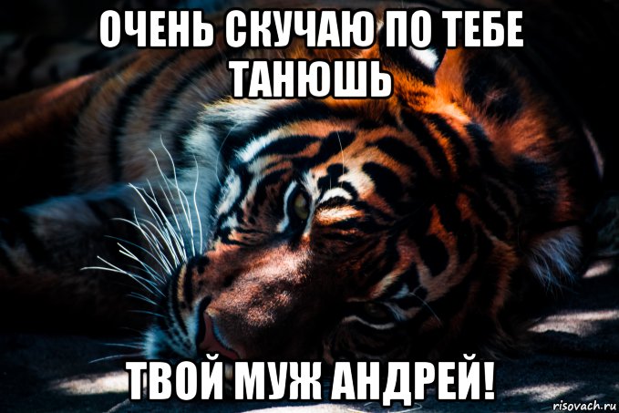 очень скучаю по тебе танюшь твой муж андрей!, Мем П