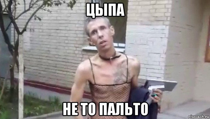 цыпа не то пальто, Мем Панин
