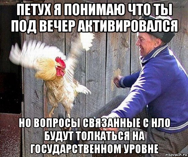 петух я понимаю что ты под вечер активировался но вопросы связанные с нло будут толкаться на государственном уровне