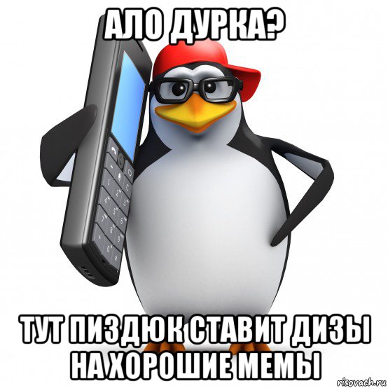 ало дурка? тут пиздюк ставит дизы на хорошие мемы, Мем   Пингвин звонит